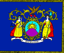[3rd New York Regiment flag]